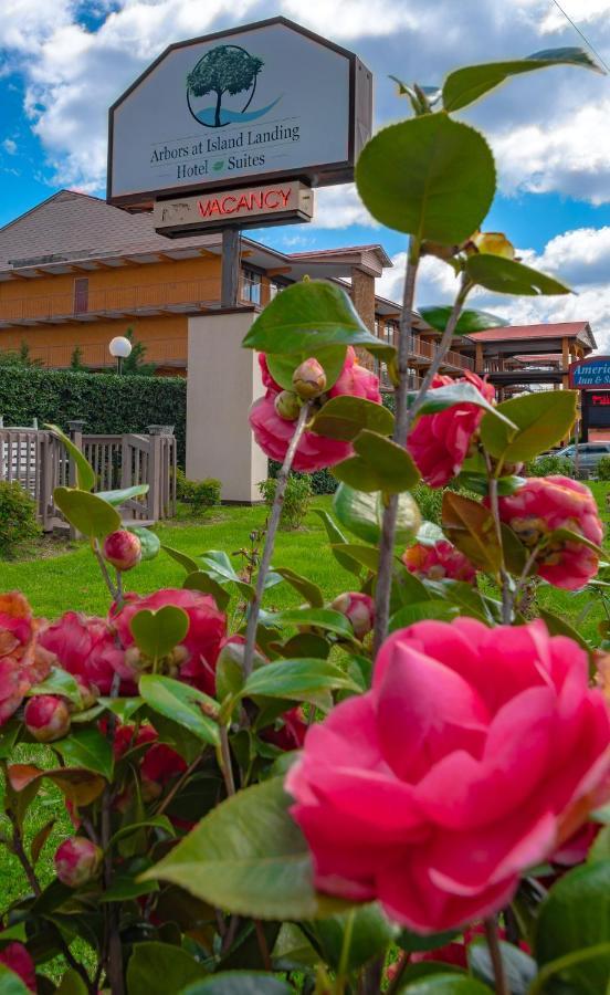 Arbors At Island Landing Hotel & Suites Pigeon Forge Exterior foto